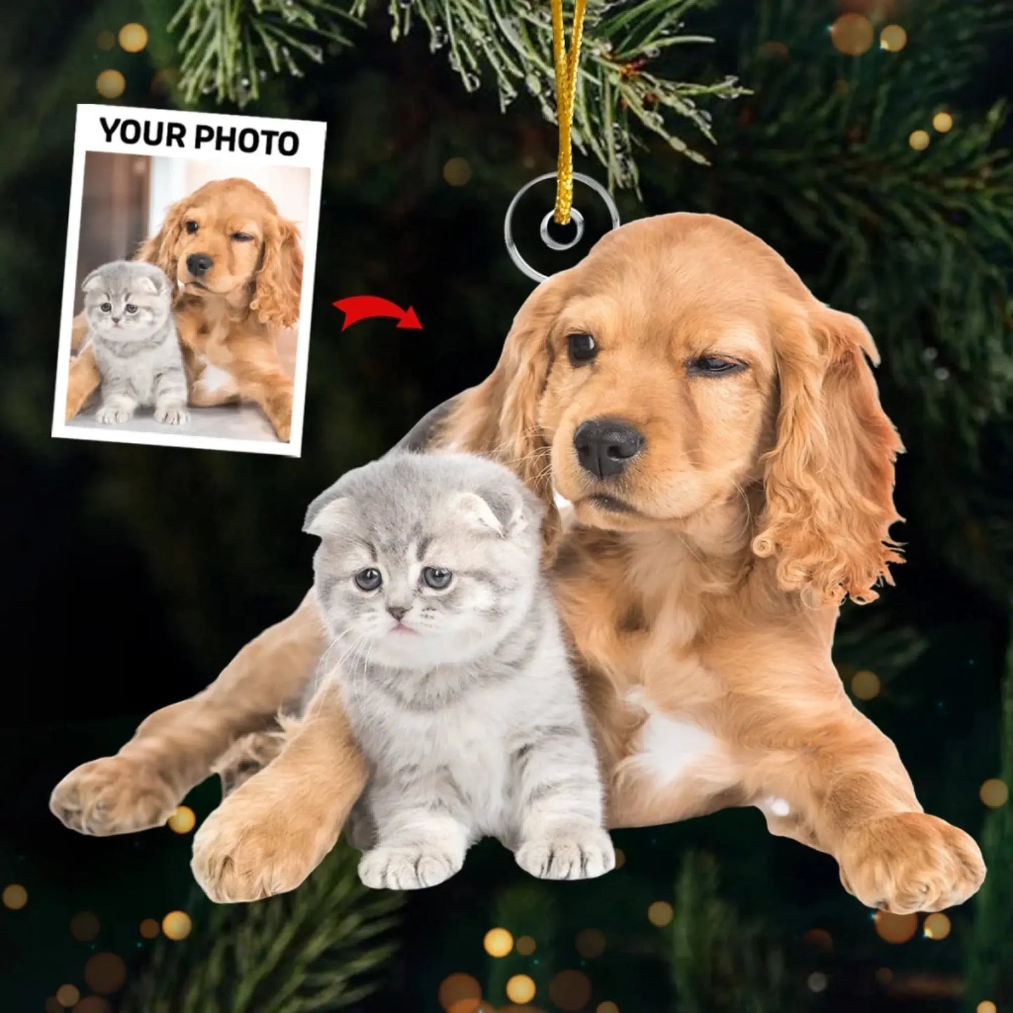 Custom Pet Photo Ornament – Personalized Acrylic Christmas Gift for Dog & Cat Lovers, Pet Memorial Keepsake for Pet Owners Ezcustomize