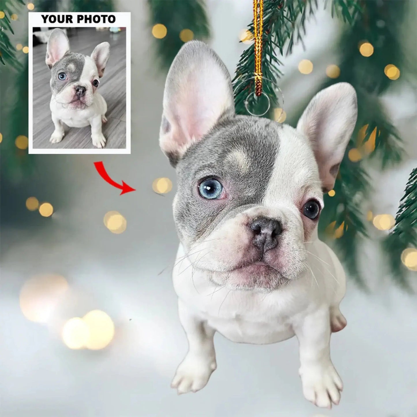 Custom Pet Photo Ornament – Personalized Acrylic Christmas Gift for Dog & Cat Lovers, Pet Memorial Keepsake for Pet Owners Ezcustomize