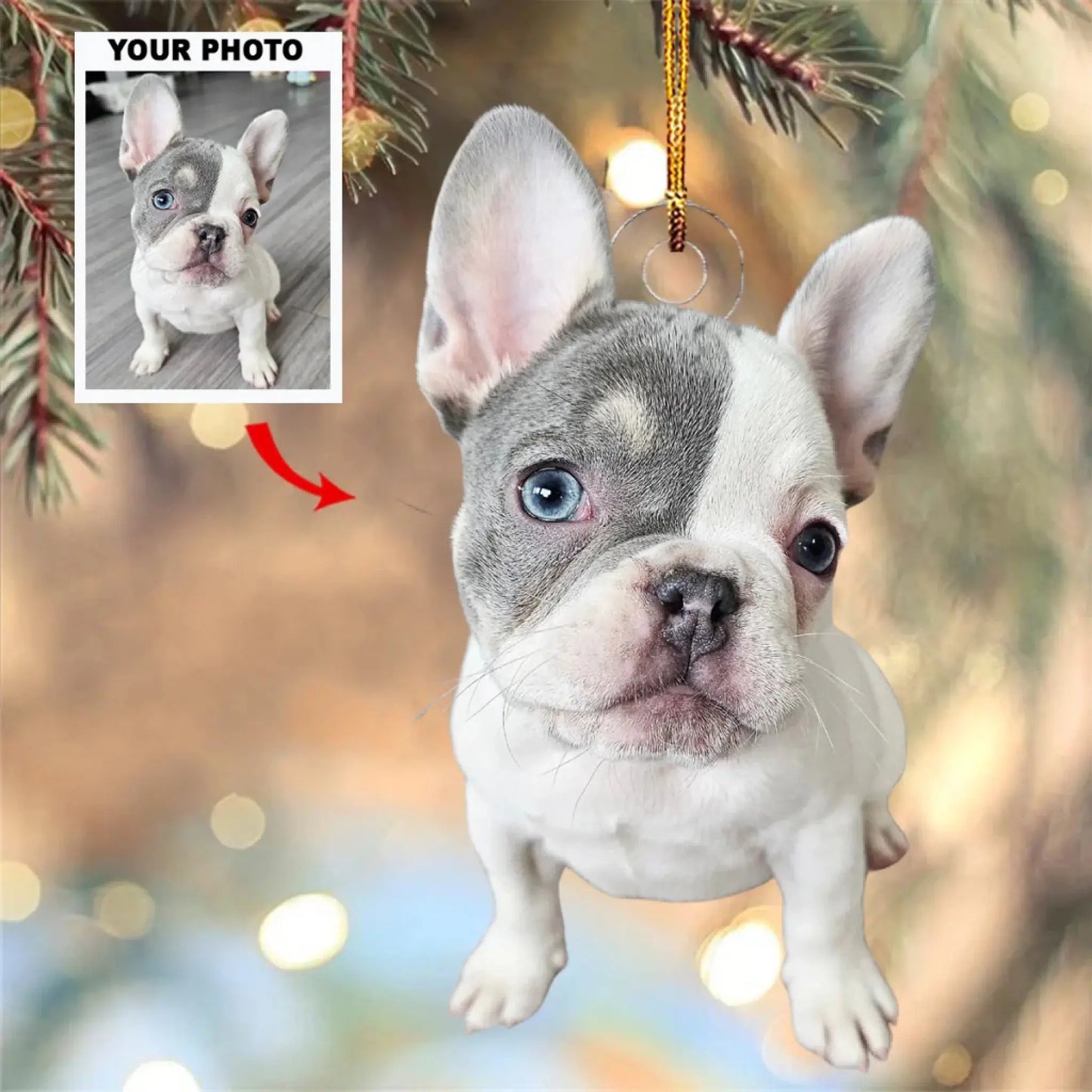 Custom Pet Photo Ornament – Personalized Acrylic Christmas Gift for Dog & Cat Lovers, Pet Memorial Keepsake for Pet Owners Ezcustomize