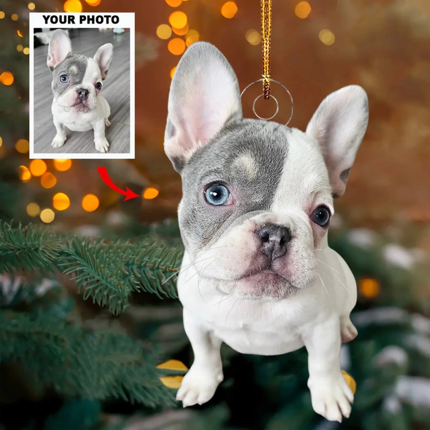 Custom Pet Photo Ornament – Personalized Acrylic Christmas Gift for Dog & Cat Lovers, Pet Memorial Keepsake for Pet Owners  Ezcustomize