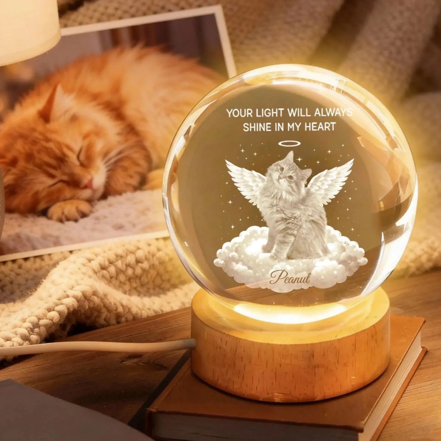 TRC22026010907062_YourLightWillAlwaysShineinMyHeartPetMemorial-PersonalizedCrystalBallLEDNightLight-HeartfeltRemembranceKeepsake_Tri_uTh_KhanhLinh_web_4
