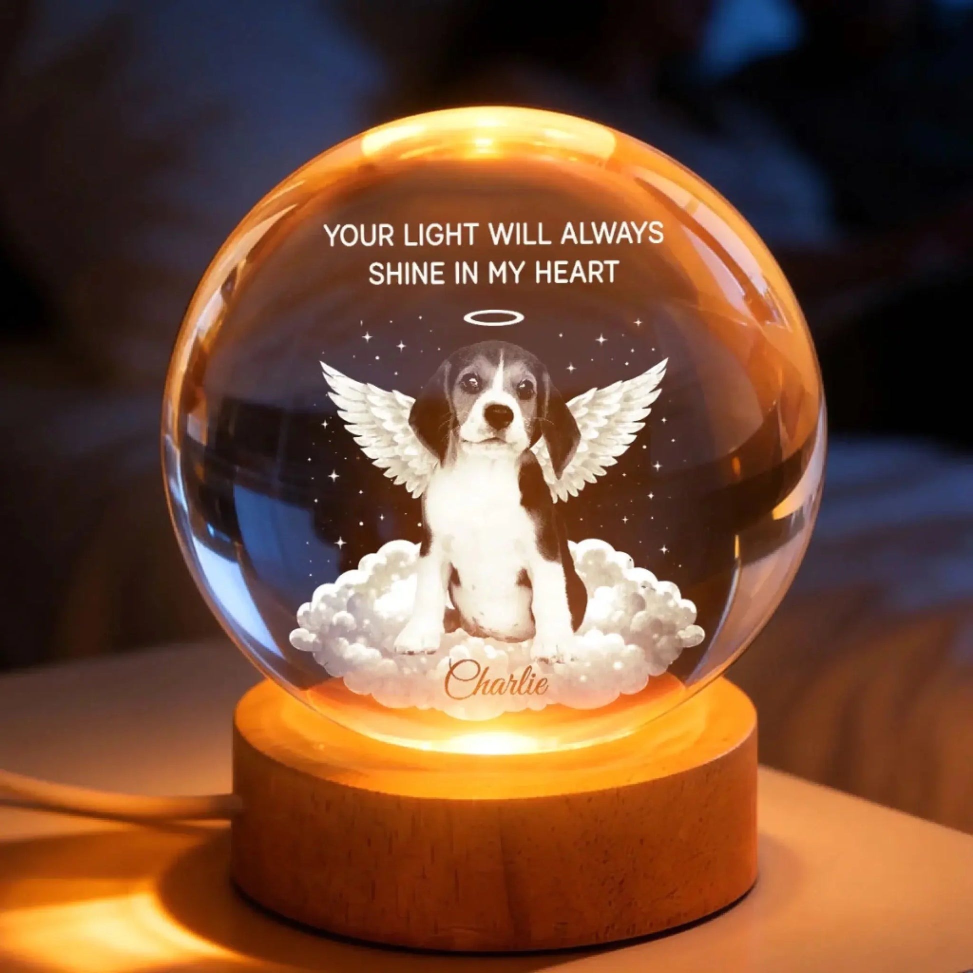 TRC22026010907062_YourLightWillAlwaysShineinMyHeartPetMemorial-PersonalizedCrystalBallLEDNightLight-HeartfeltRemembranceKeepsake_Tri_uTh_KhanhLinh_web_6