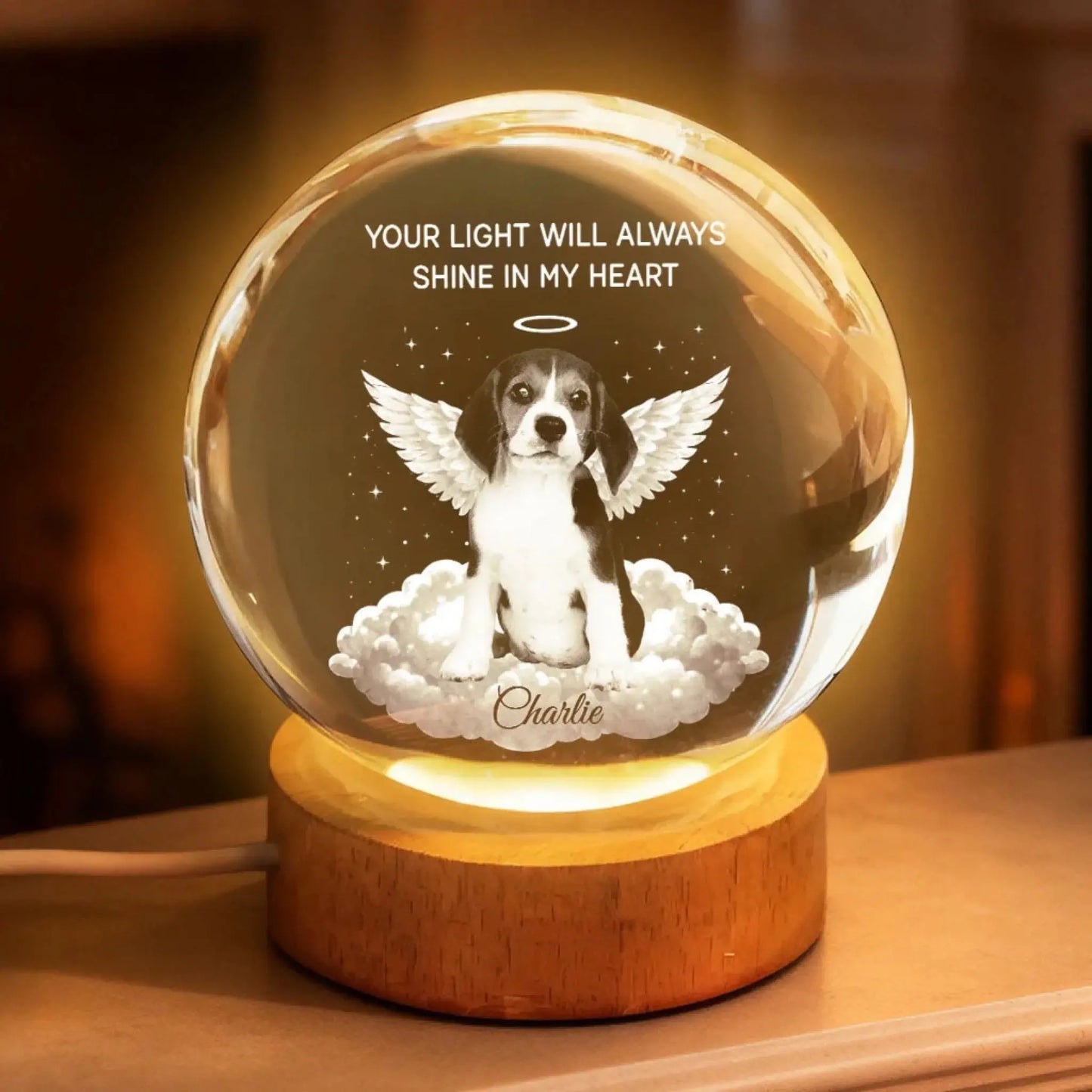 TRC22026010907062_YourLightWillAlwaysShineinMyHeartPetMemorial-PersonalizedCrystalBallLEDNightLight-HeartfeltRemembranceKeepsake_Tri_uTh_KhanhLinh_web_7