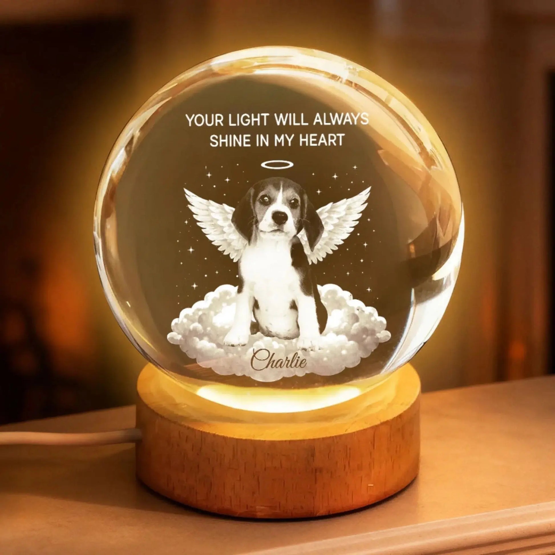 TRC22026010907062_YourLightWillAlwaysShineinMyHeartPetMemorial-PersonalizedCrystalBallLEDNightLight-HeartfeltRemembranceKeepsake_Tri_uTh_KhanhLinh_web_7